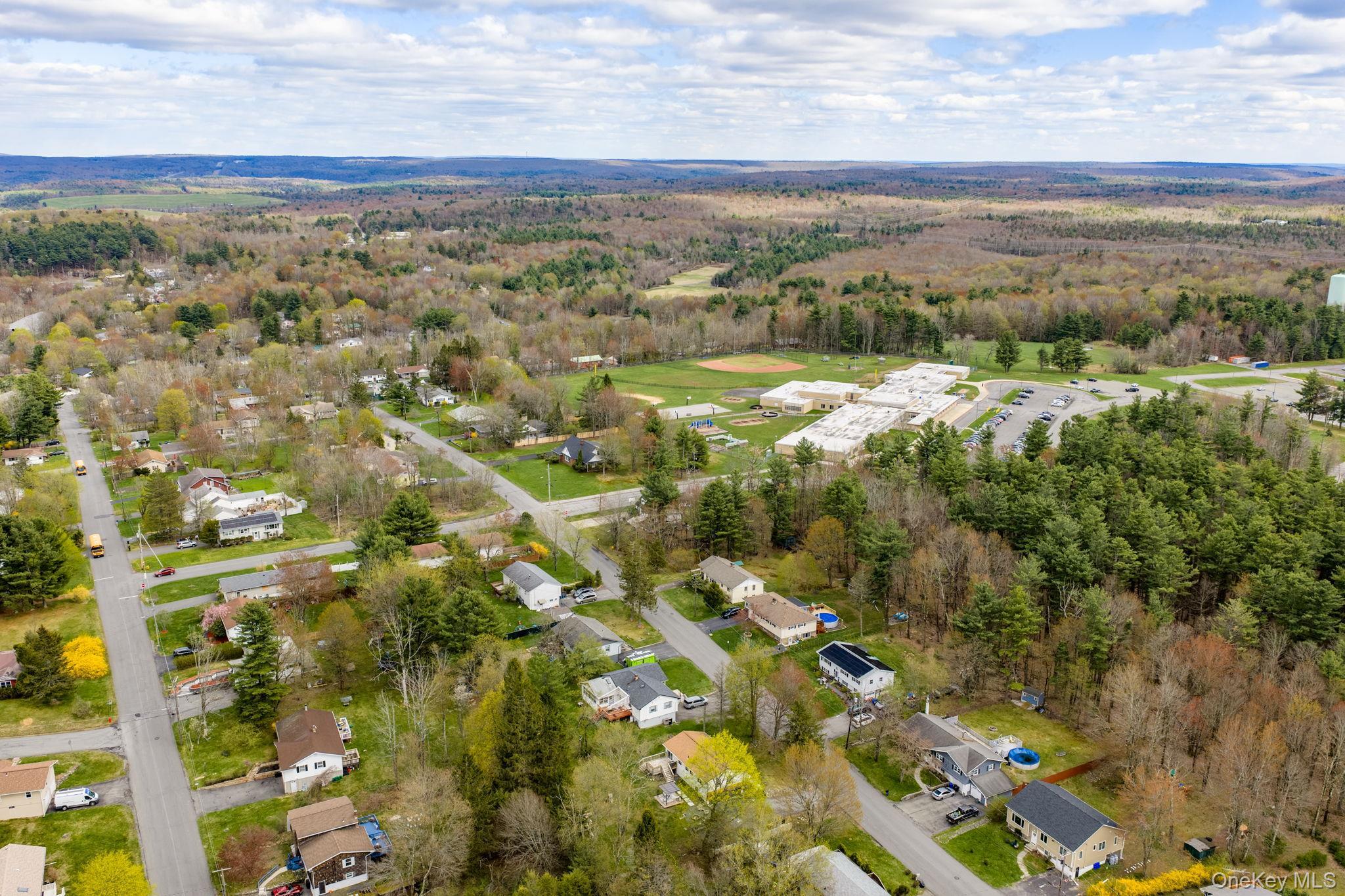 Single Family Atwell  Sullivan County, NY 12701, MLS-982787-46