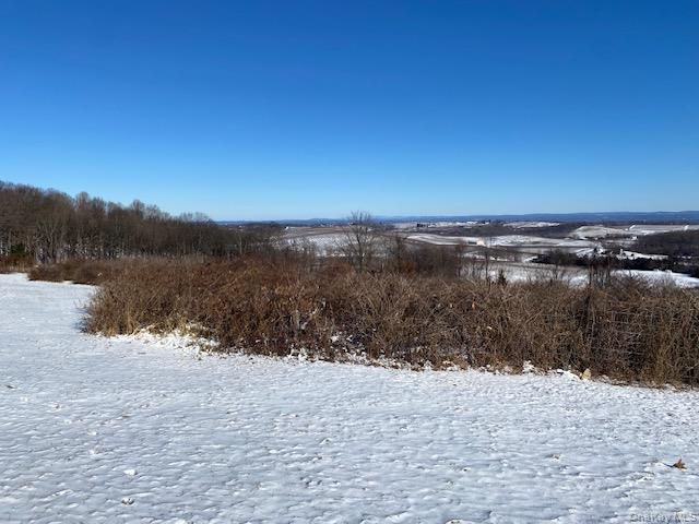 Single Family Mount Zion Road  Ulster County, NY 12542, MLS-982800-29