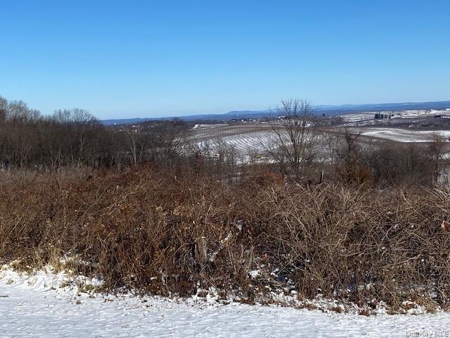 Single Family Mount Zion Road  Ulster County, NY 12542, MLS-982800-33