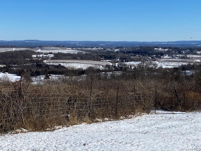 Single Family Mount Zion Road  Ulster County, NY 12542, MLS-982800-36