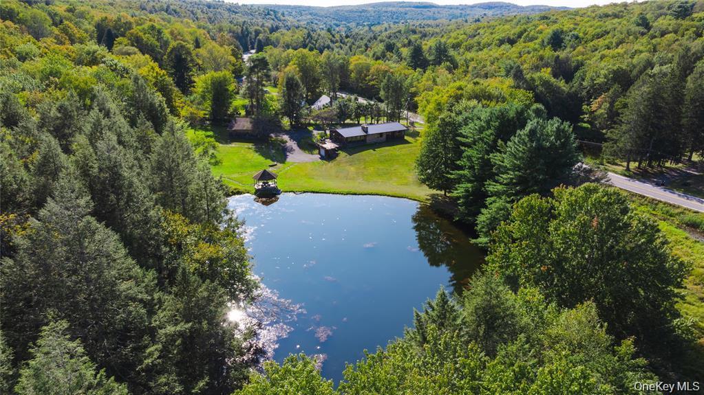 Single Family State Route 42 Sullivan County, NY 12788, MLS-982817-26