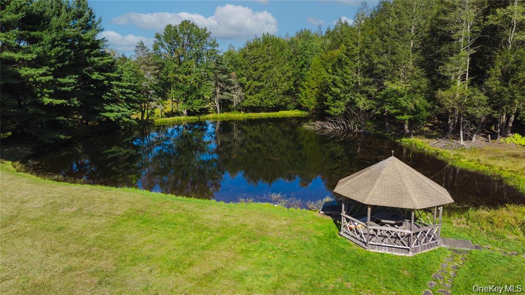 Single Family State Route 42 Sullivan County, NY 12788, MLS-982817-27