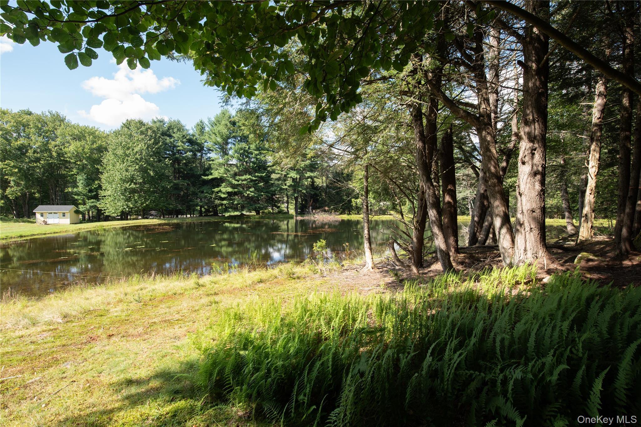 Single Family State Route 42  Sullivan County, NY 12788, MLS-982817-44