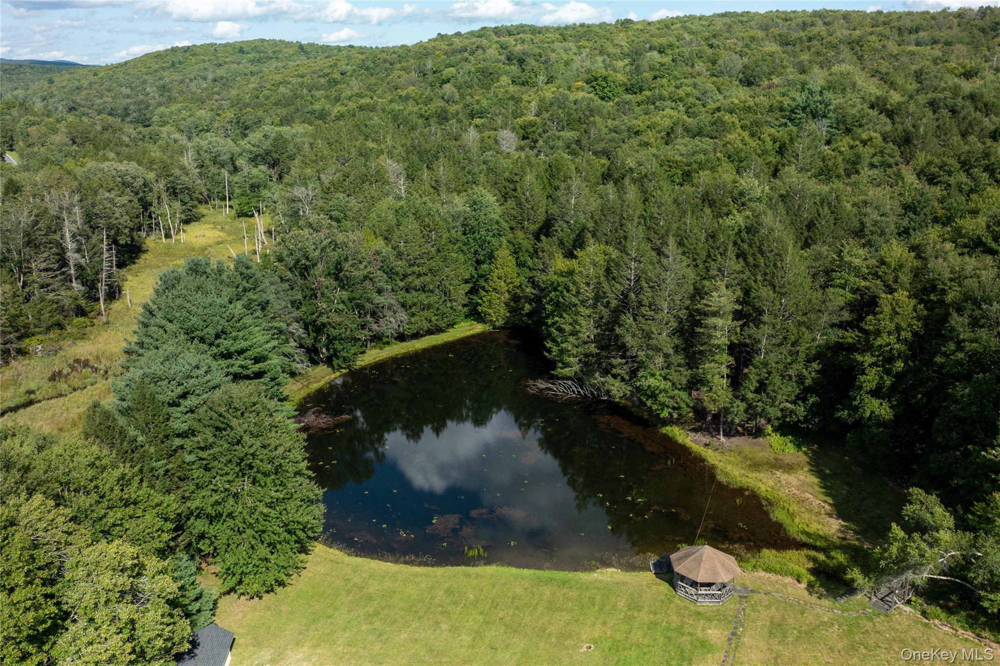 Single Family State Route 42  Sullivan County, NY 12788, MLS-982817-47