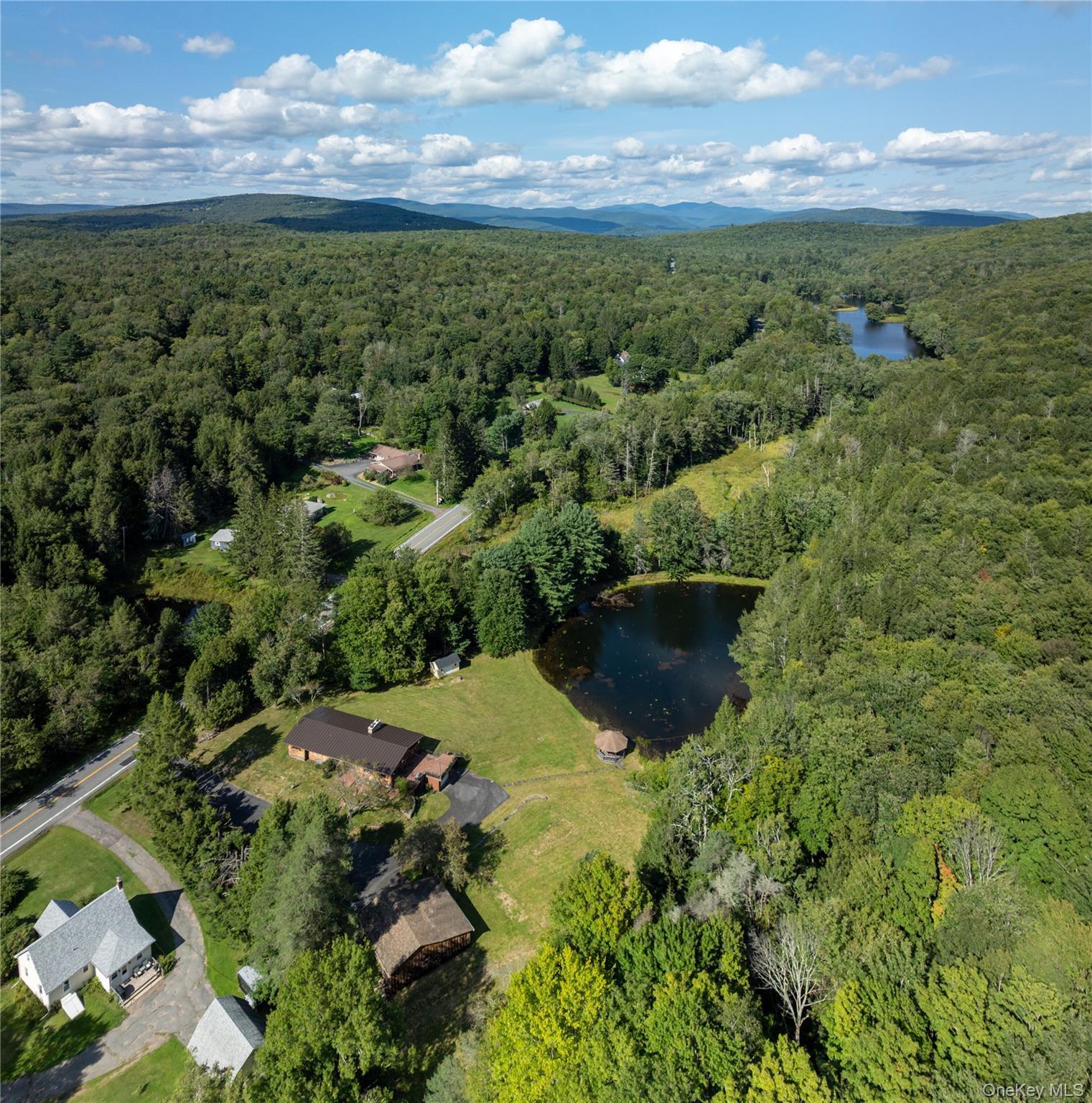 Single Family State Route 42  Sullivan County, NY 12788, MLS-982817-49