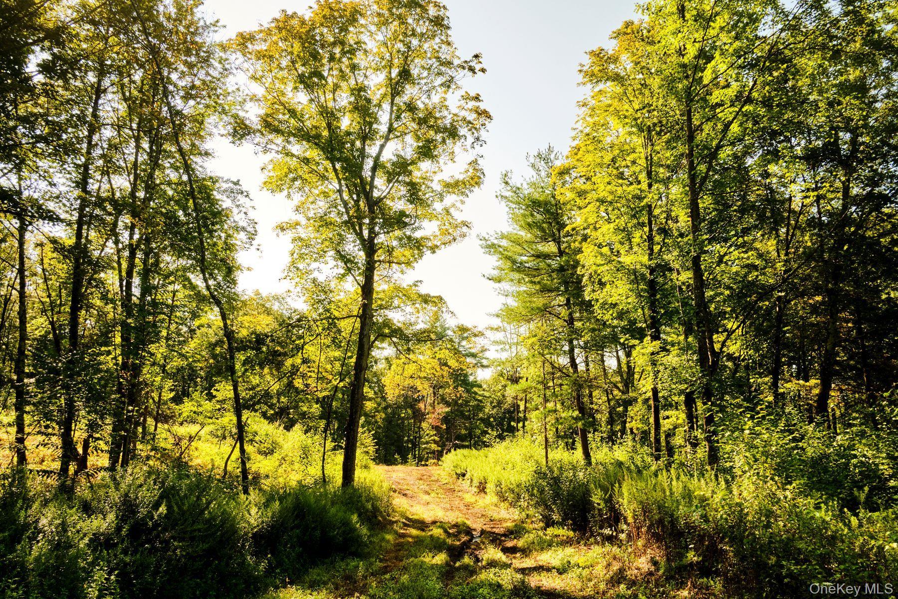 Single Family Stone Wall Path  Dutchess County, NY 12571, MLS-982890-10