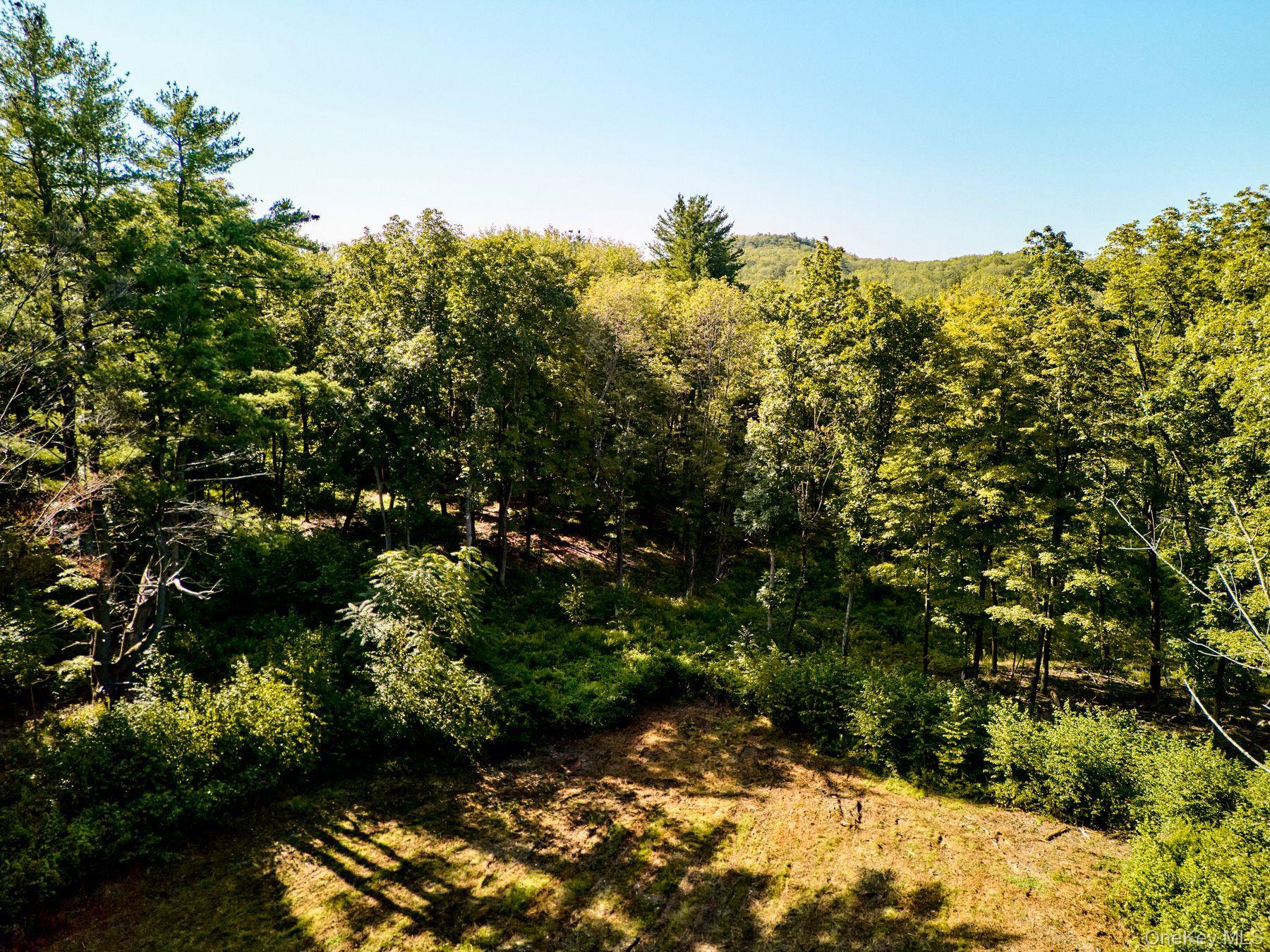 Single Family Stone Wall Path  Dutchess County, NY 12571, MLS-982890-12