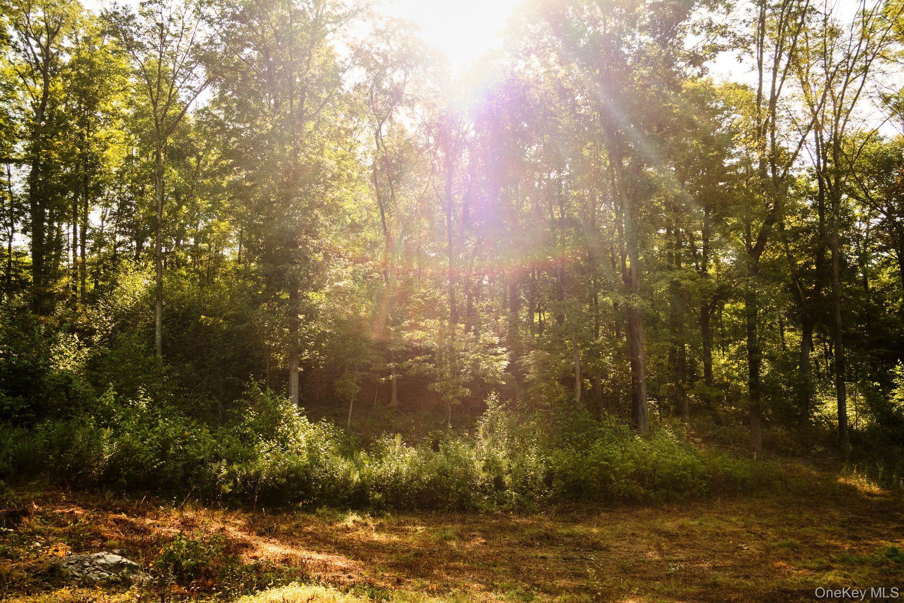 Single Family Stone Wall Path  Dutchess County, NY 12571, MLS-982890-13