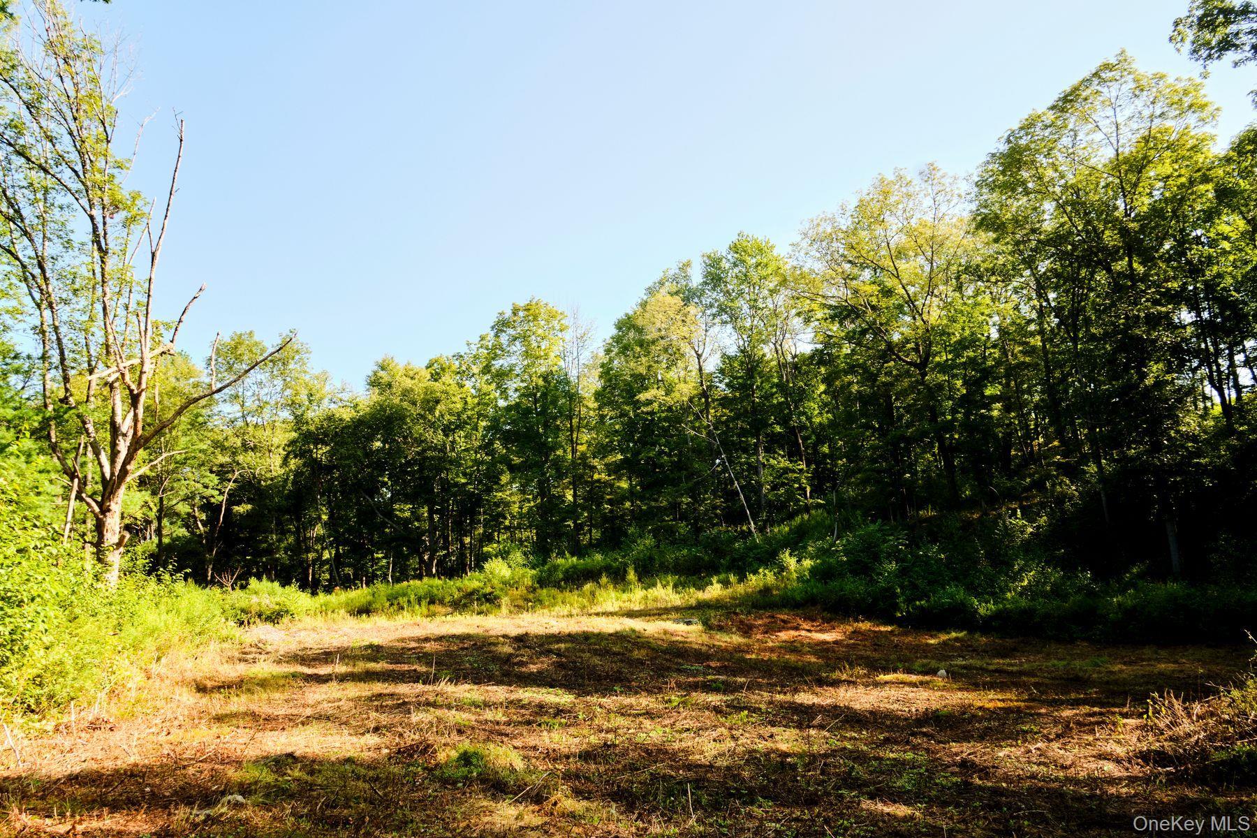 Single Family Stone Wall Path  Dutchess County, NY 12571, MLS-982890-14