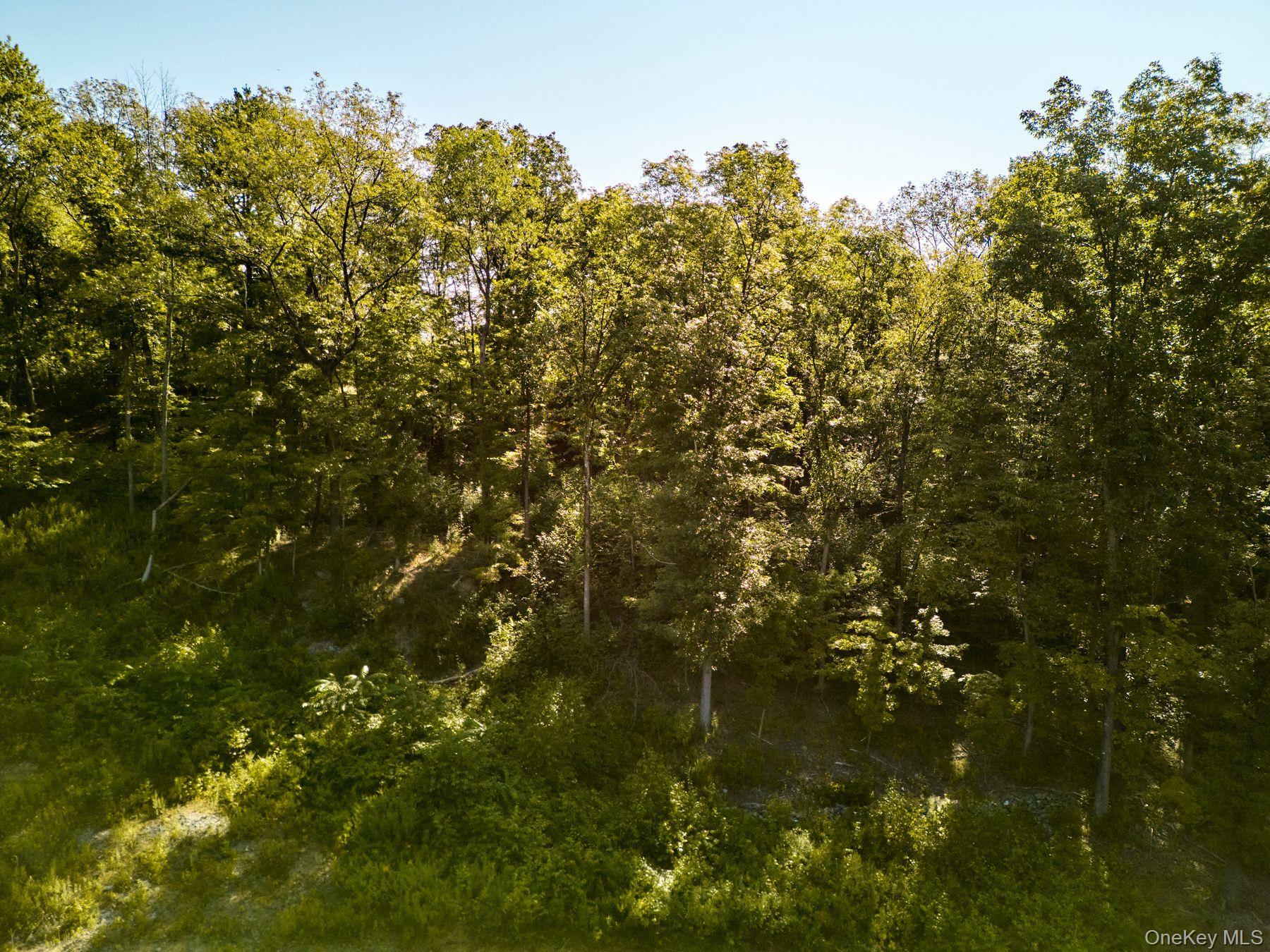 Single Family Stone Wall Path  Dutchess County, NY 12571, MLS-982890-17