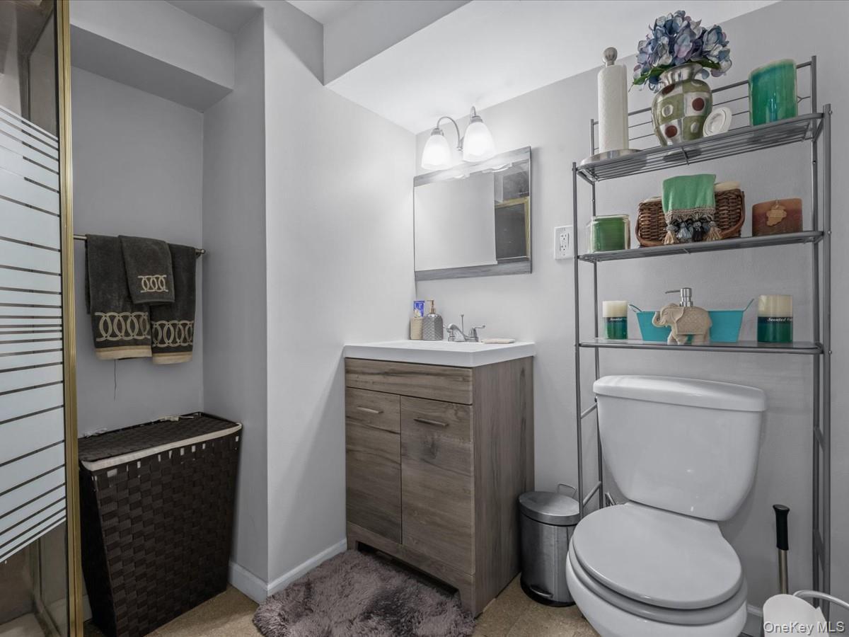 Single Family Pine  Brooklyn, NY 11208, MLS-982934-18