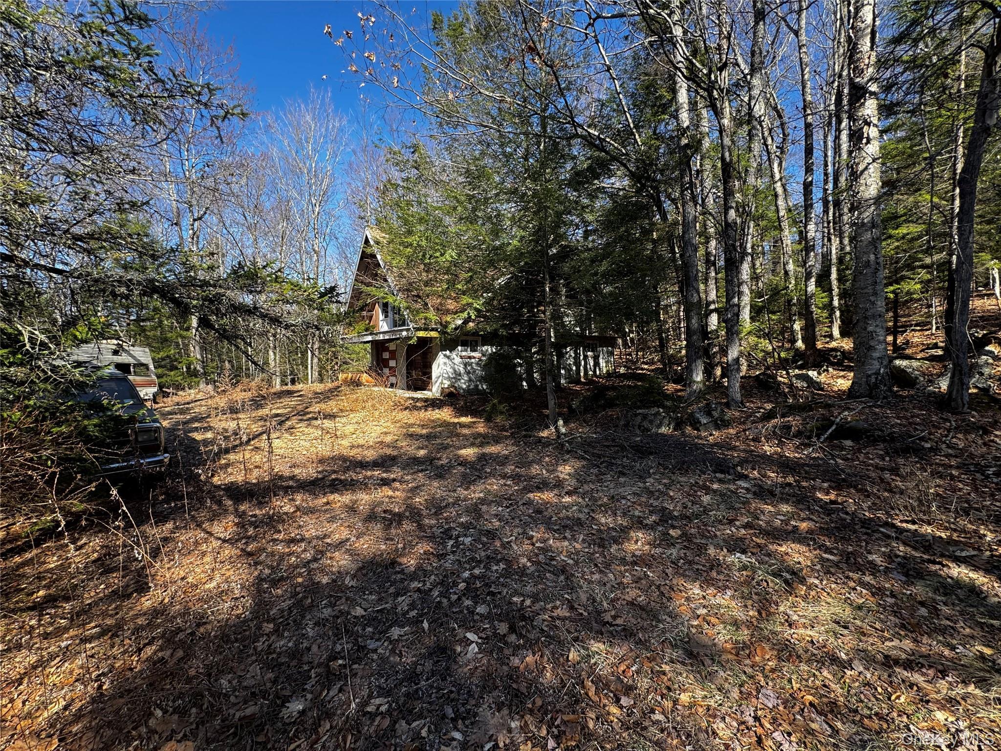 Single Family Lake  Greene County, NY 12442, MLS-982973-16