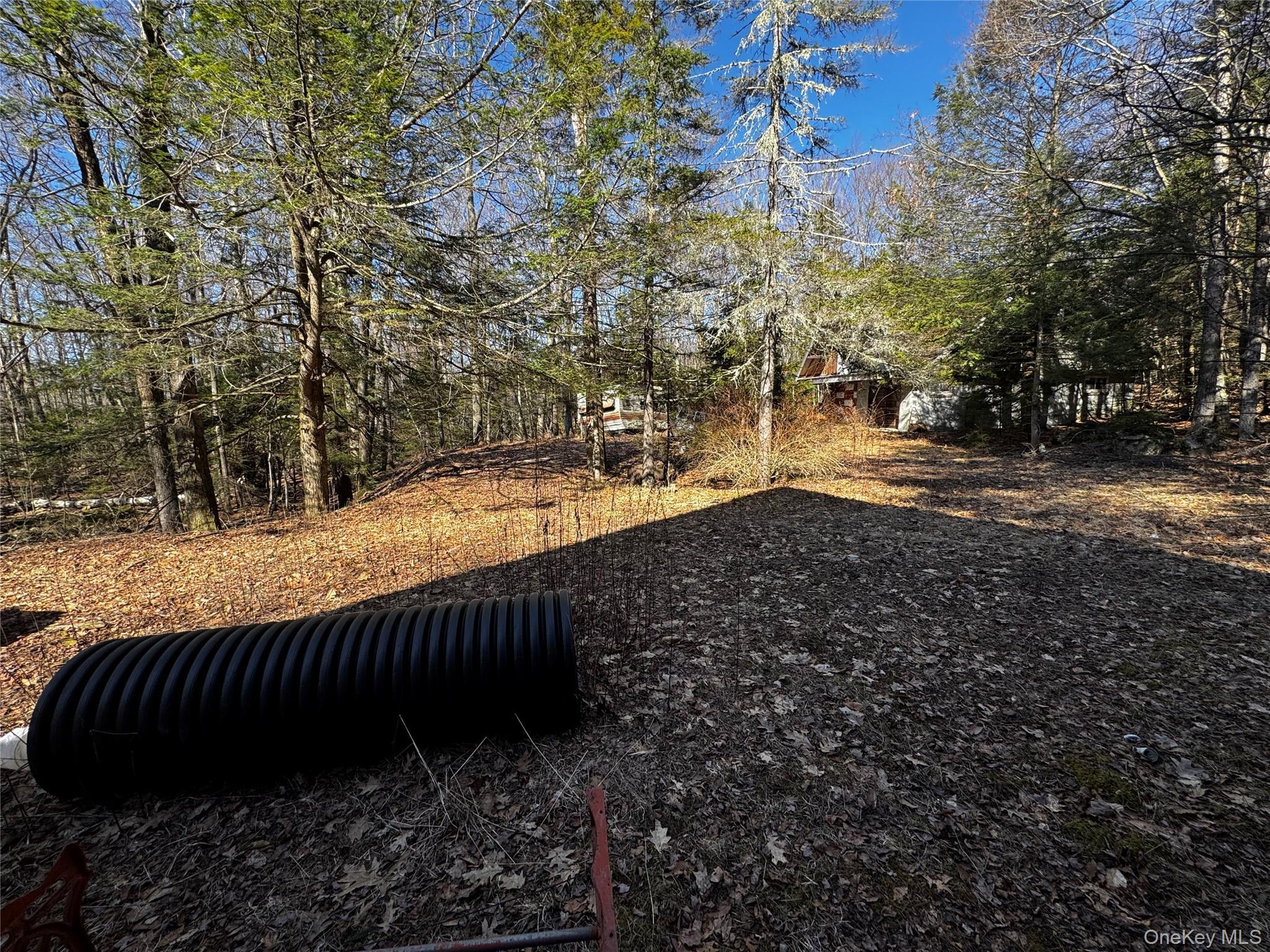 Single Family Lake  Greene County, NY 12442, MLS-982973-17