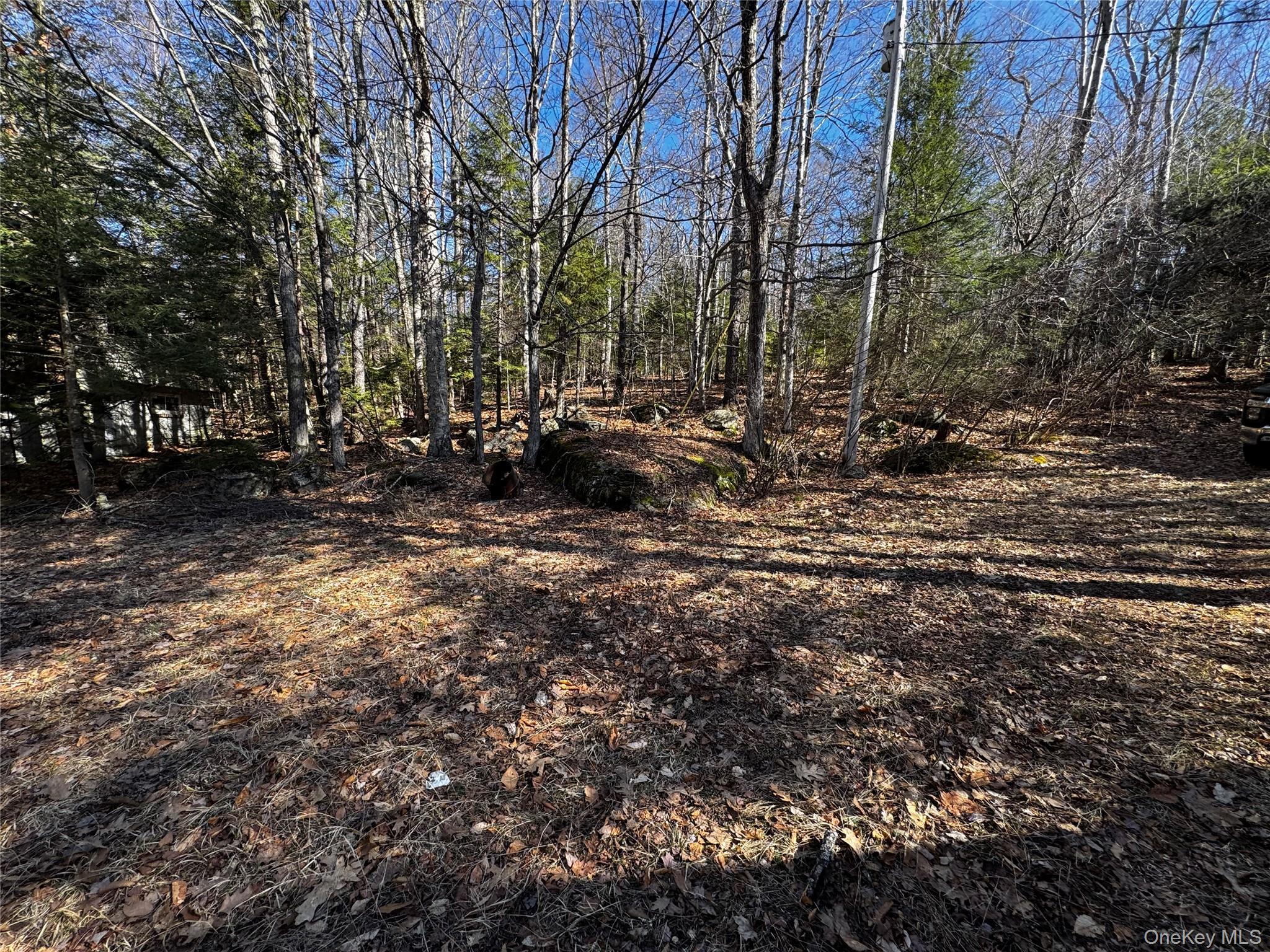 Single Family Lake  Greene County, NY 12442, MLS-982973-18