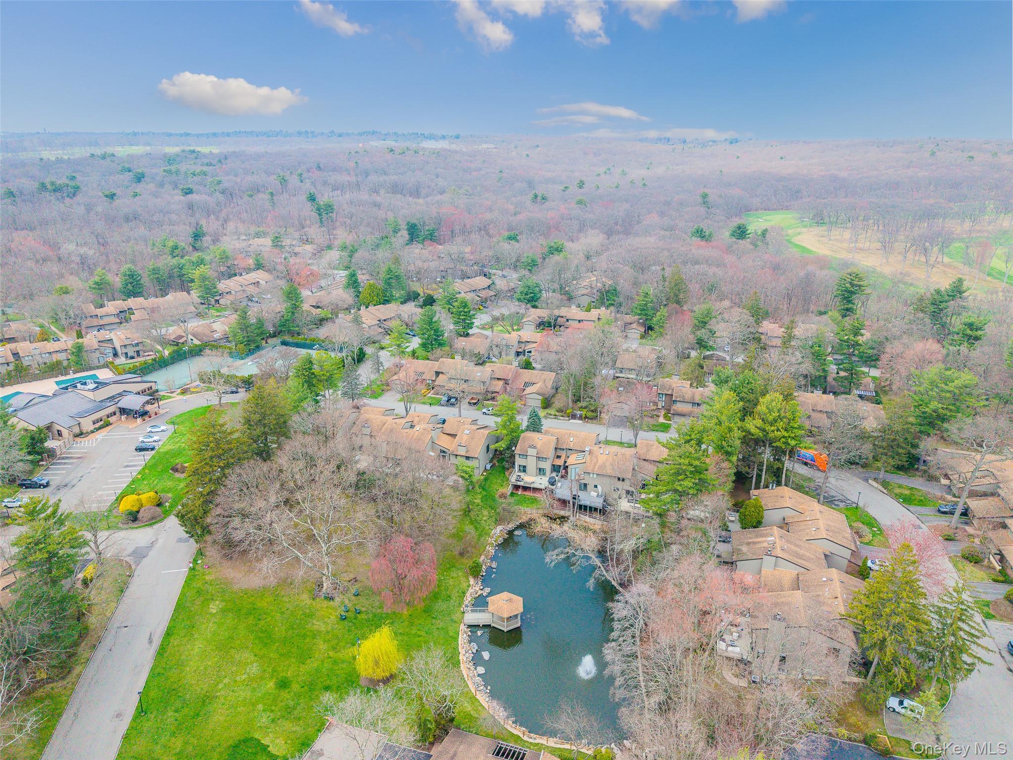 Condo Golf View  Nassau County, NY 11753, MLS-983144-25