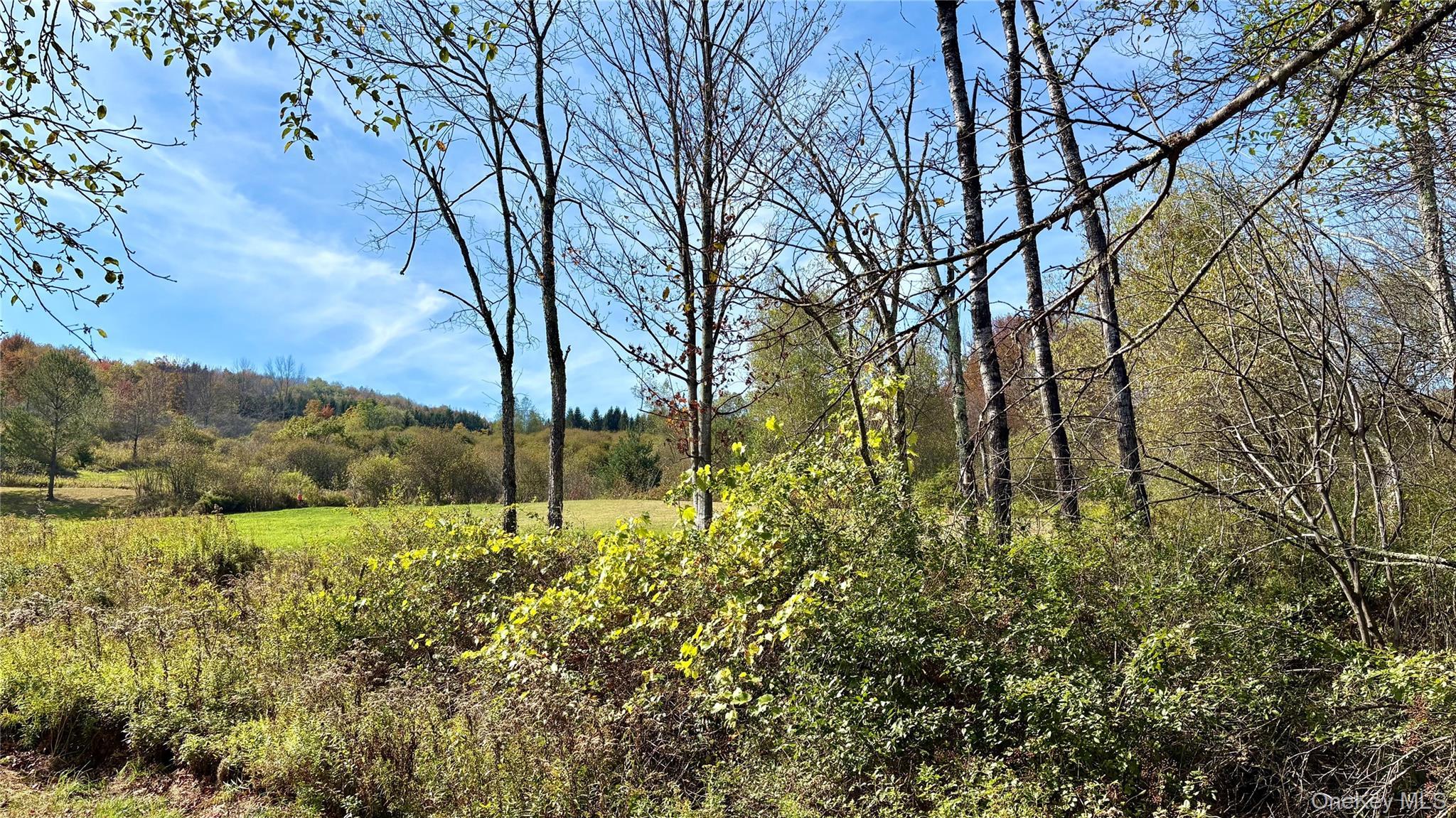 Single Family State Route 52  Sullivan County, NY 12791, MLS-983162-7