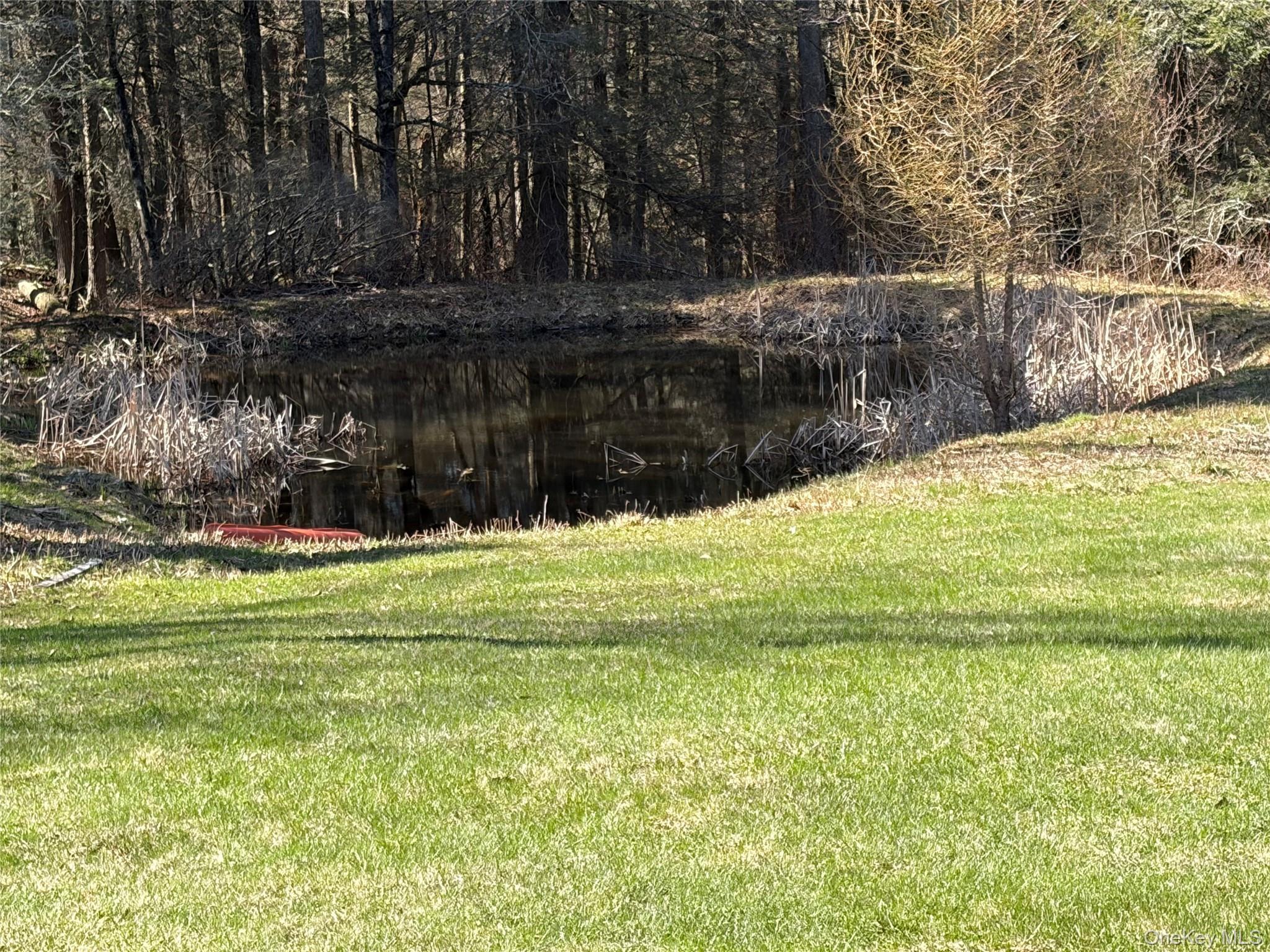 Single Family Simmon  Sullivan County, NY 12736, MLS-983165-5