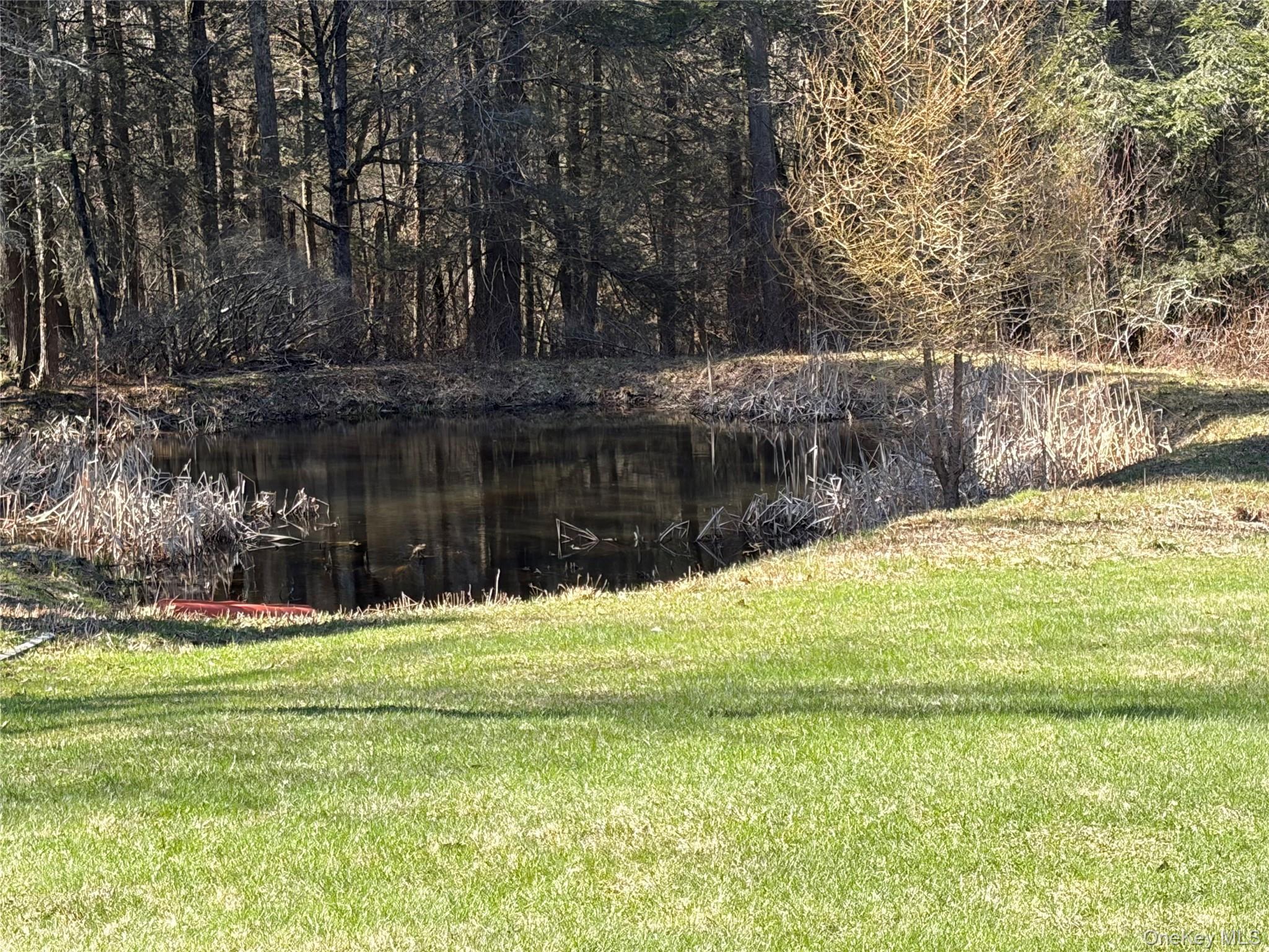 Single Family Simmon  Sullivan County, NY 12736, MLS-983165-7