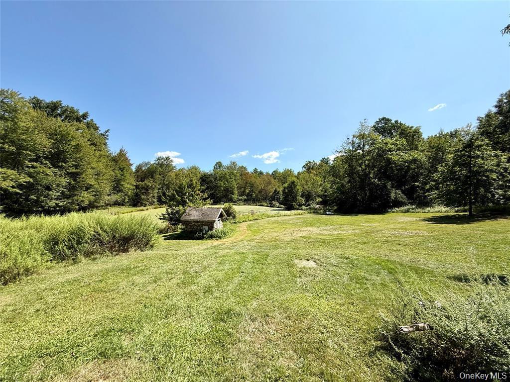 Single Family Old Roosa Gap Road Sullivan County, NY 12721, MLS-983246-11
