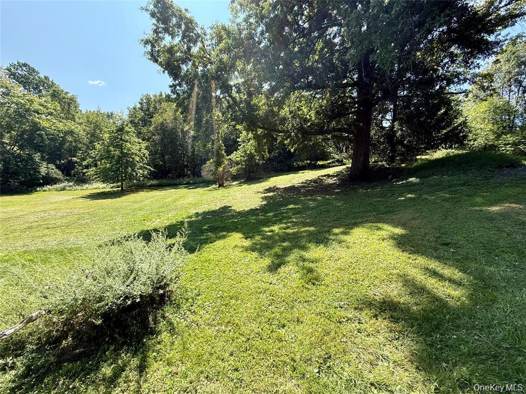 Single Family Old Roosa Gap Road Sullivan County, NY 12721, MLS-983246-14