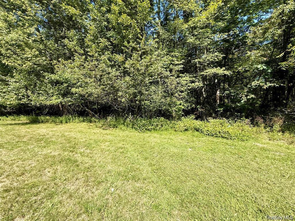 Single Family Old Roosa Gap Road Sullivan County, NY 12721, MLS-983246-15
