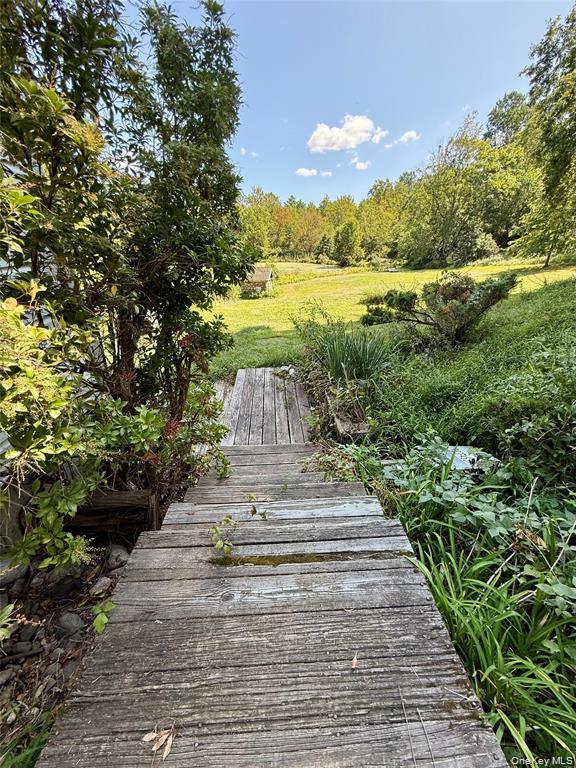Single Family Old Roosa Gap Road Sullivan County, NY 12721, MLS-983246-16