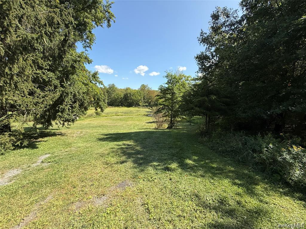 Single Family Old Roosa Gap Road Sullivan County, NY 12721, MLS-983246-17
