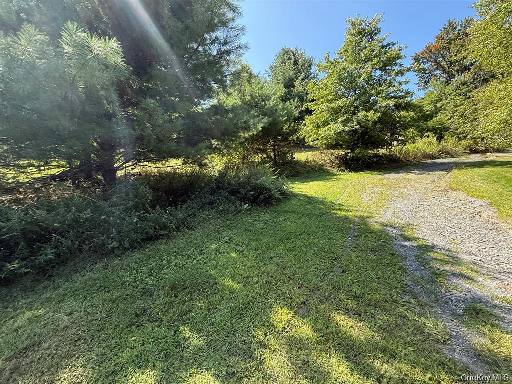 Single Family Old Roosa Gap Road Sullivan County, NY 12721, MLS-983246-19