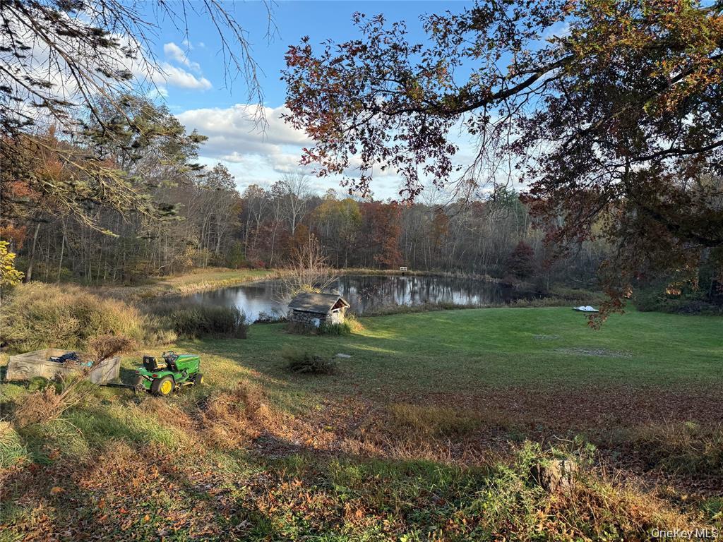 Single Family Old Roosa Gap Road  Sullivan County, NY 12721, MLS-983246-20