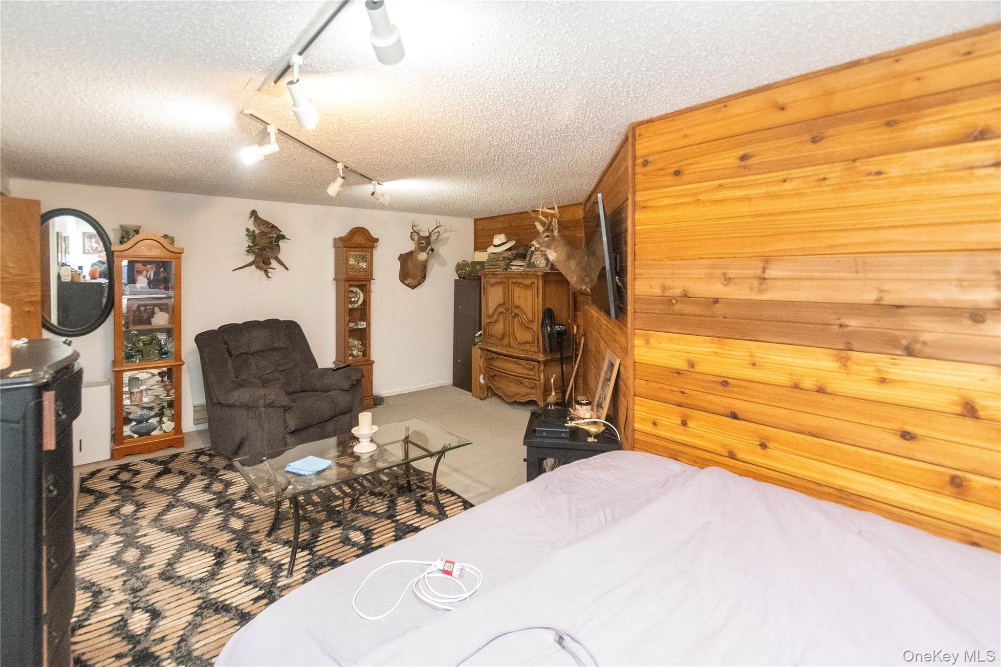Single Family Edelweiss Drive Sullivan County, NY 12789, MLS-983247-37