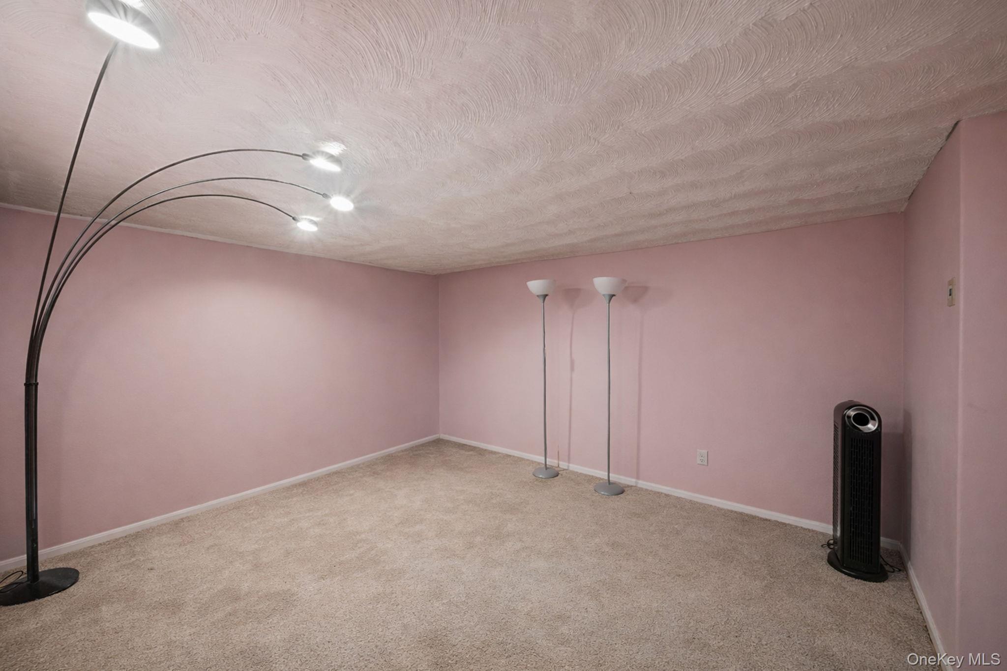 Single Family Barth  Nassau County, NY 11510, MLS-983267-29