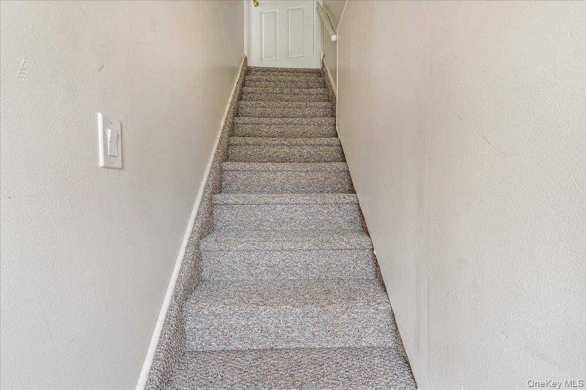 Single Family Duckpond  Nassau County, NY 11793, MLS-983279-19