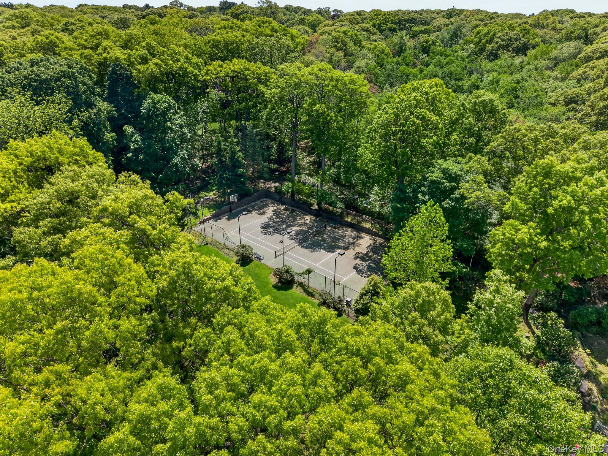 Single Family Redmond Lane  Nassau County, NY 11771, MLS-983376-10