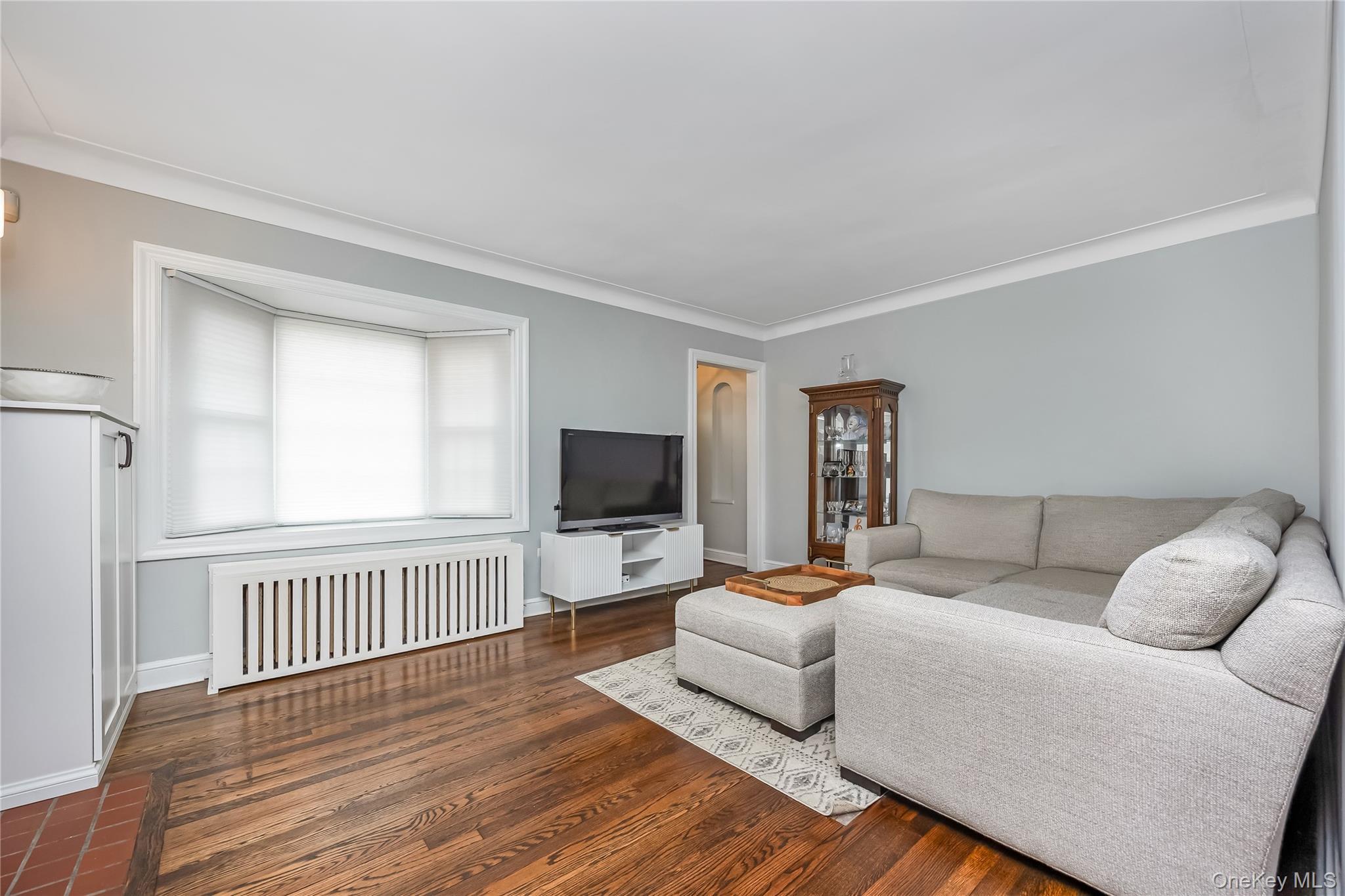 Single Family Willow  Nassau County, NY 11793, MLS-983390-9