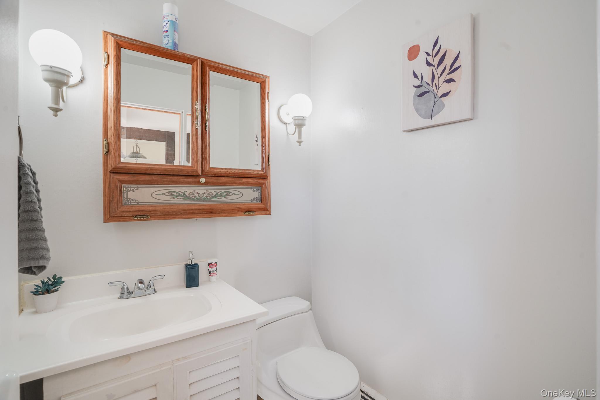 Single Family Pine Hill  Dutchess County, NY 12590, MLS-983400-13