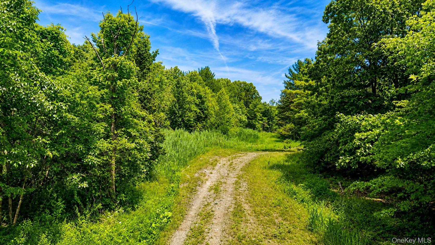 Single Family Deer Run West Greene County, NY 12414, MLS-983411-19