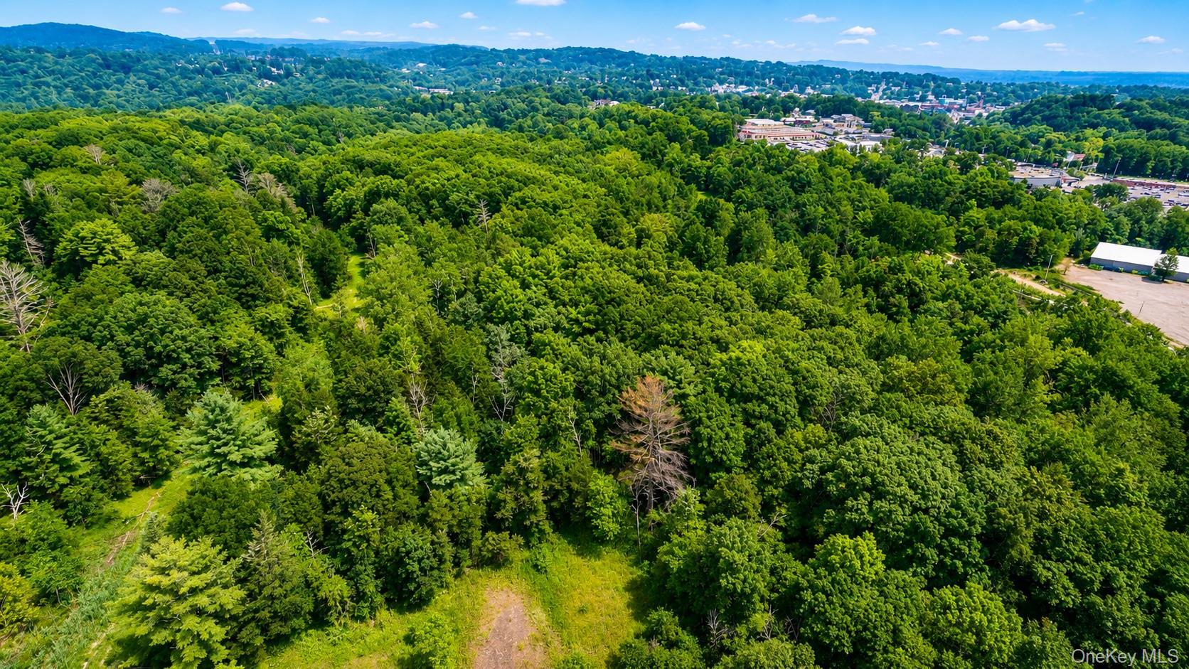 Single Family Deer Run West Greene County, NY 12414, MLS-983411-20