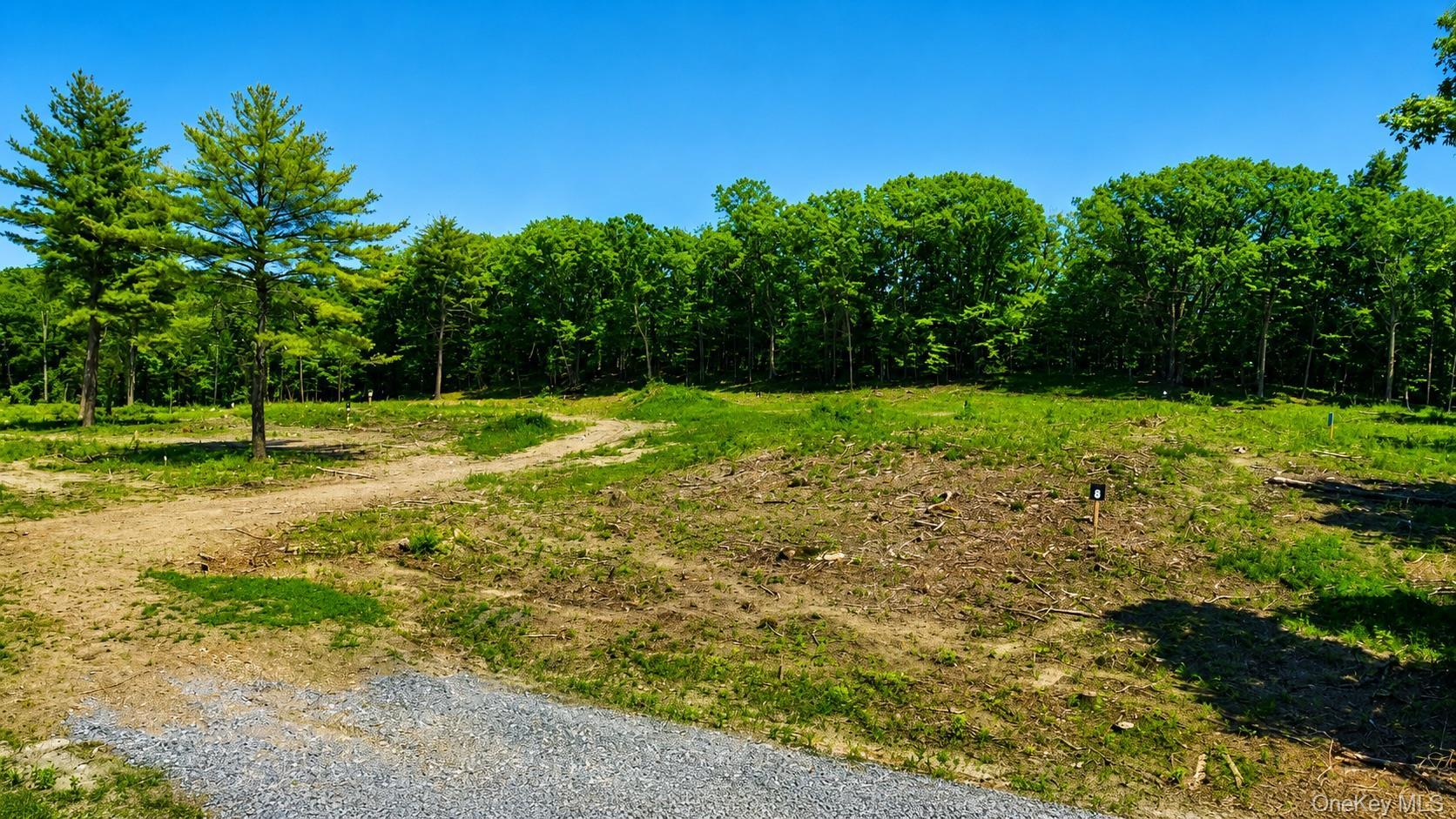 Single Family Deer Run West Greene County, NY 12414, MLS-983414-18