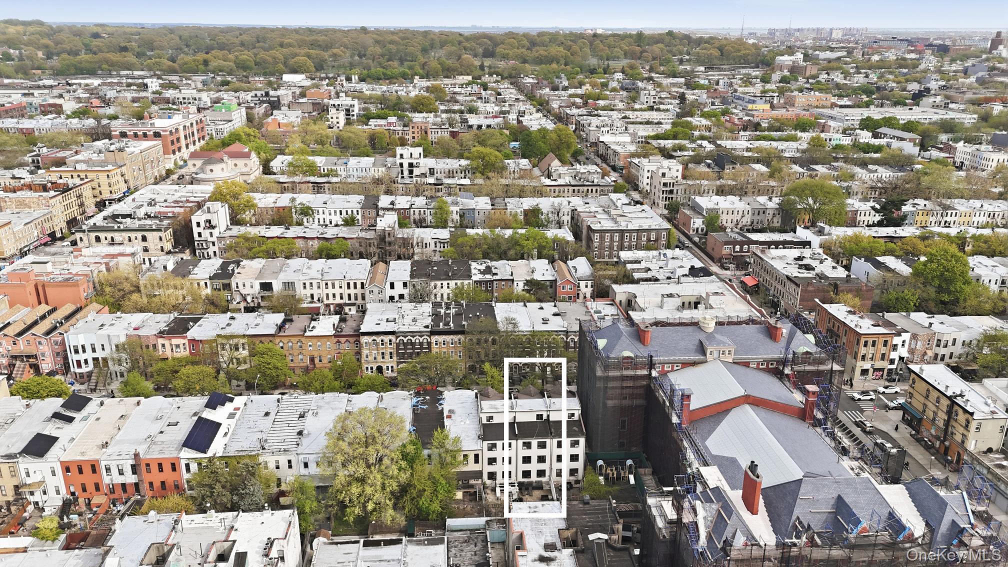 Single Family Cornelia  Brooklyn, NY 11221, MLS-983435-2