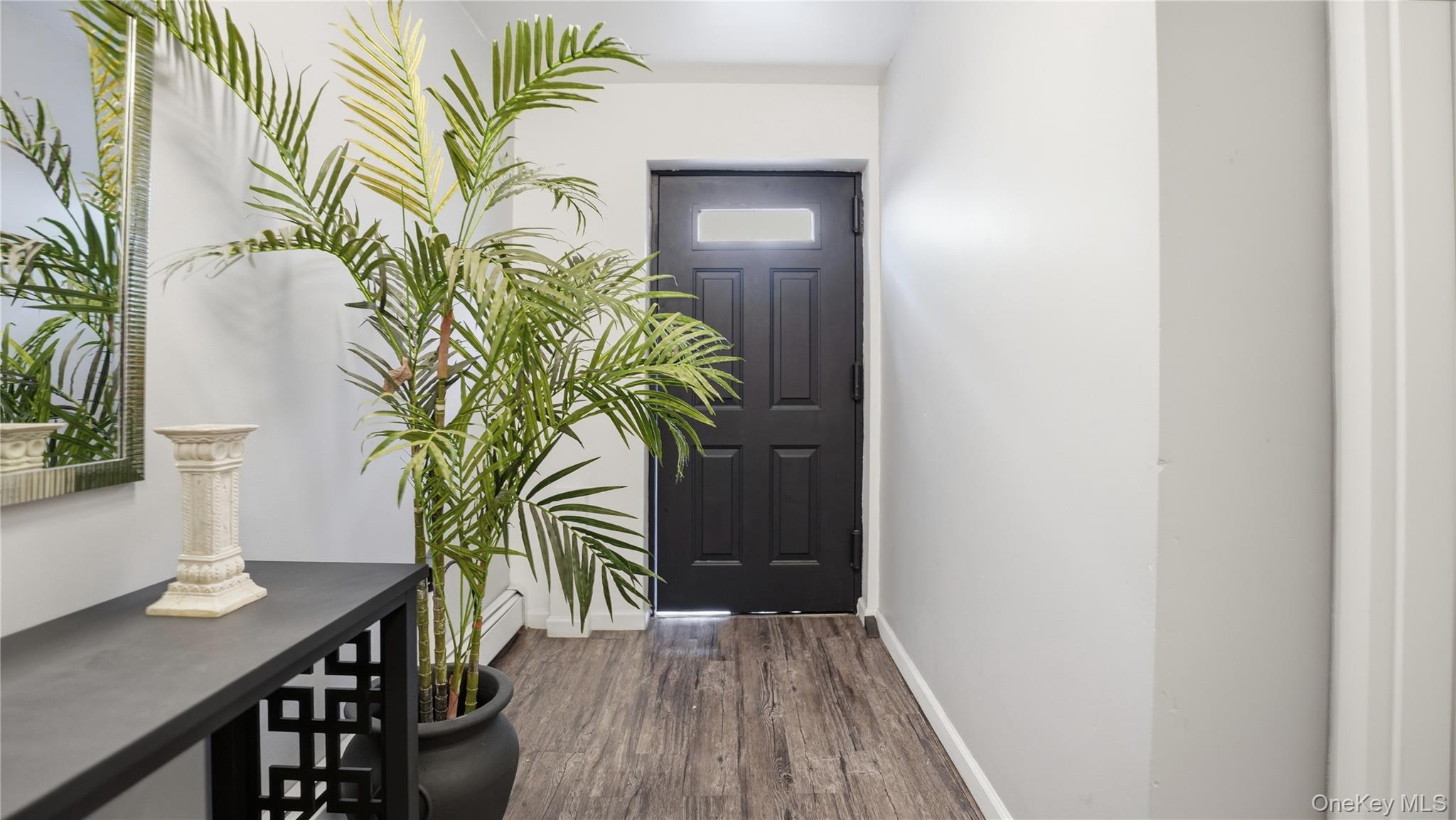 Single Family Cornelia  Brooklyn, NY 11221, MLS-983435-3