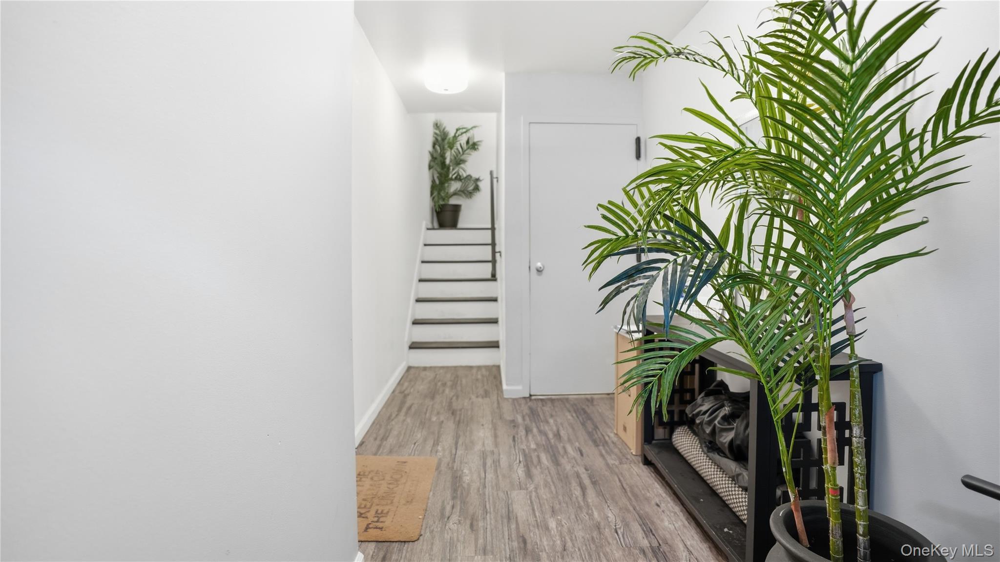 Single Family Cornelia  Brooklyn, NY 11221, MLS-983435-9