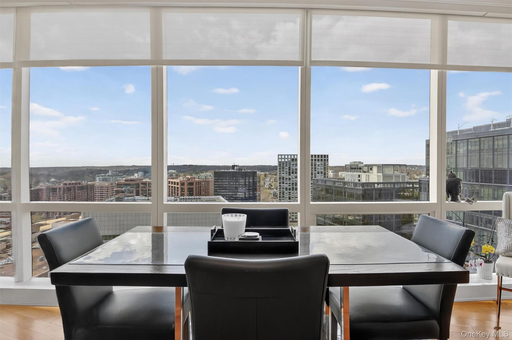 Condo Renaissance  Westchester County, NY 10601, MLS-983476-11