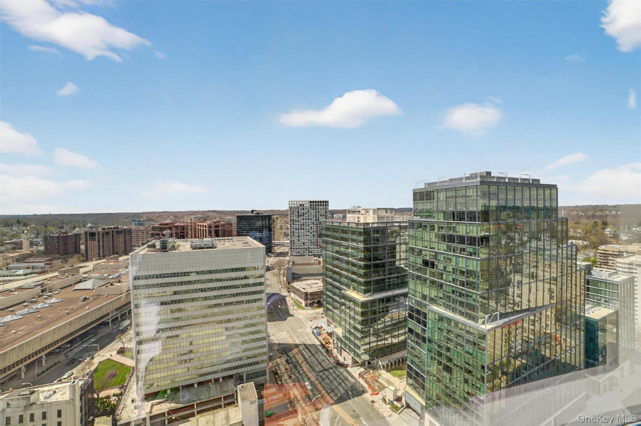 Condo Renaissance  Westchester County, NY 10601, MLS-983476-20