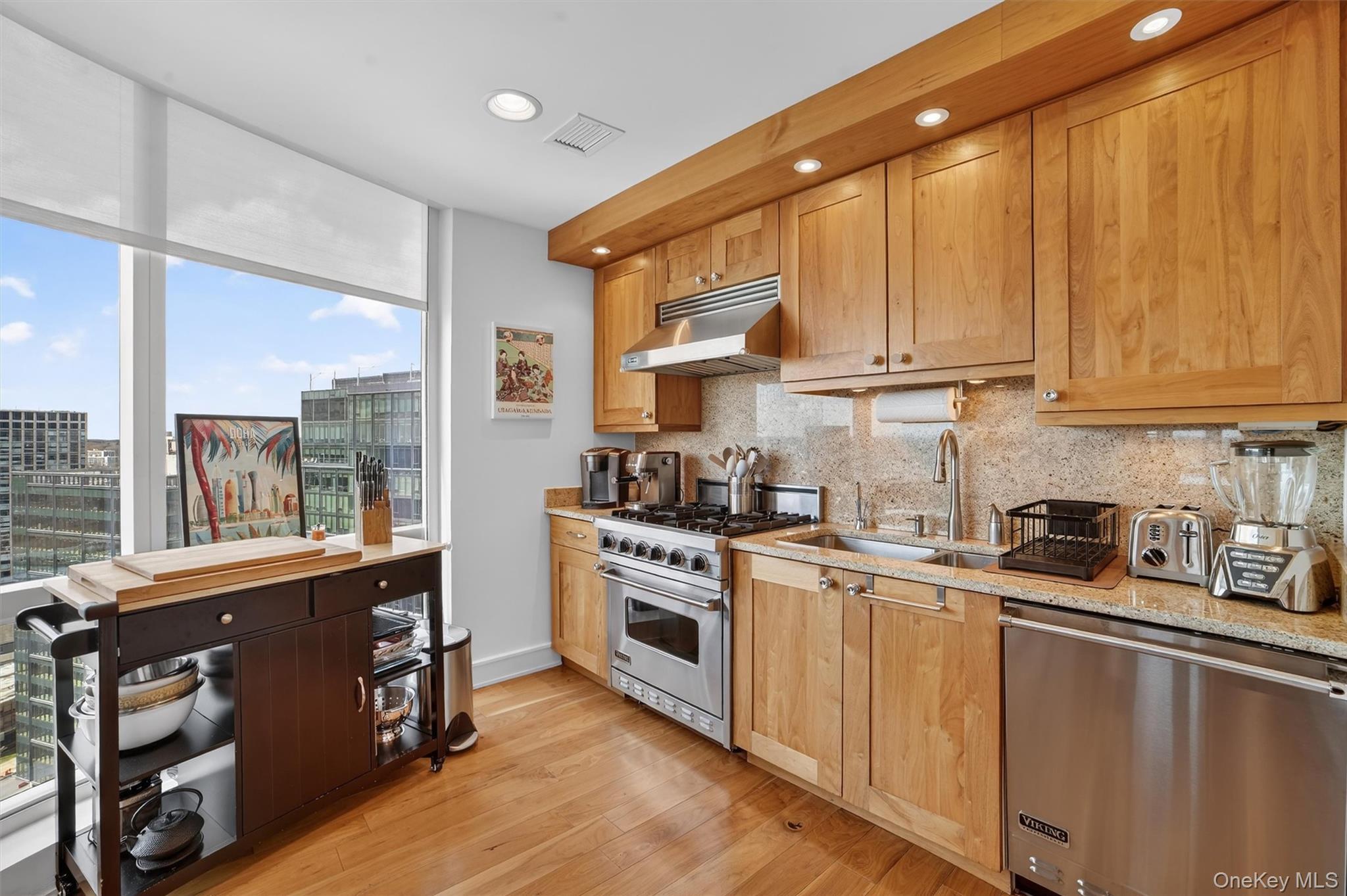 Condo Renaissance  Westchester County, NY 10601, MLS-983476-6