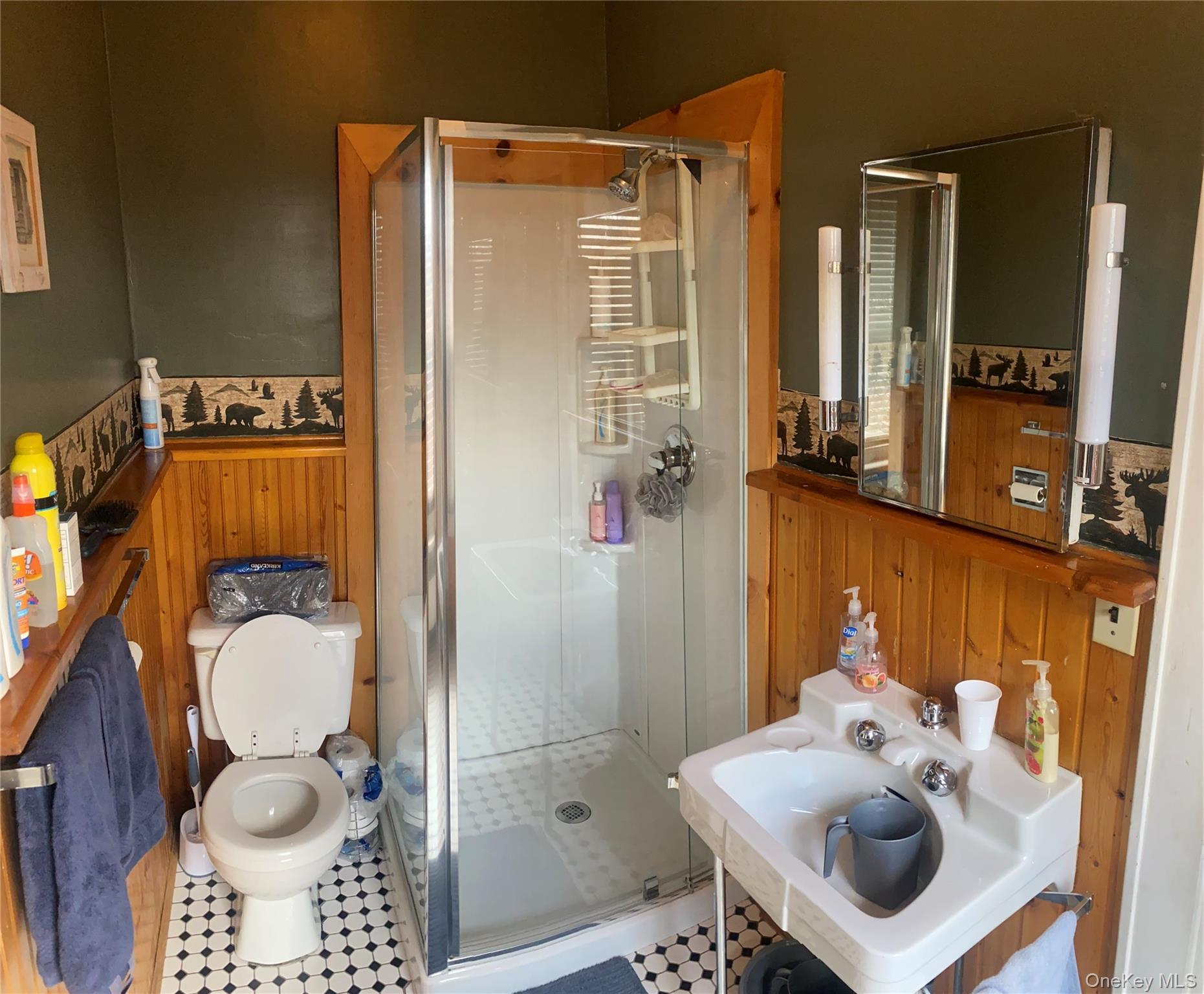 Single Family Main  Greene County, NY 12485, MLS-983490-13