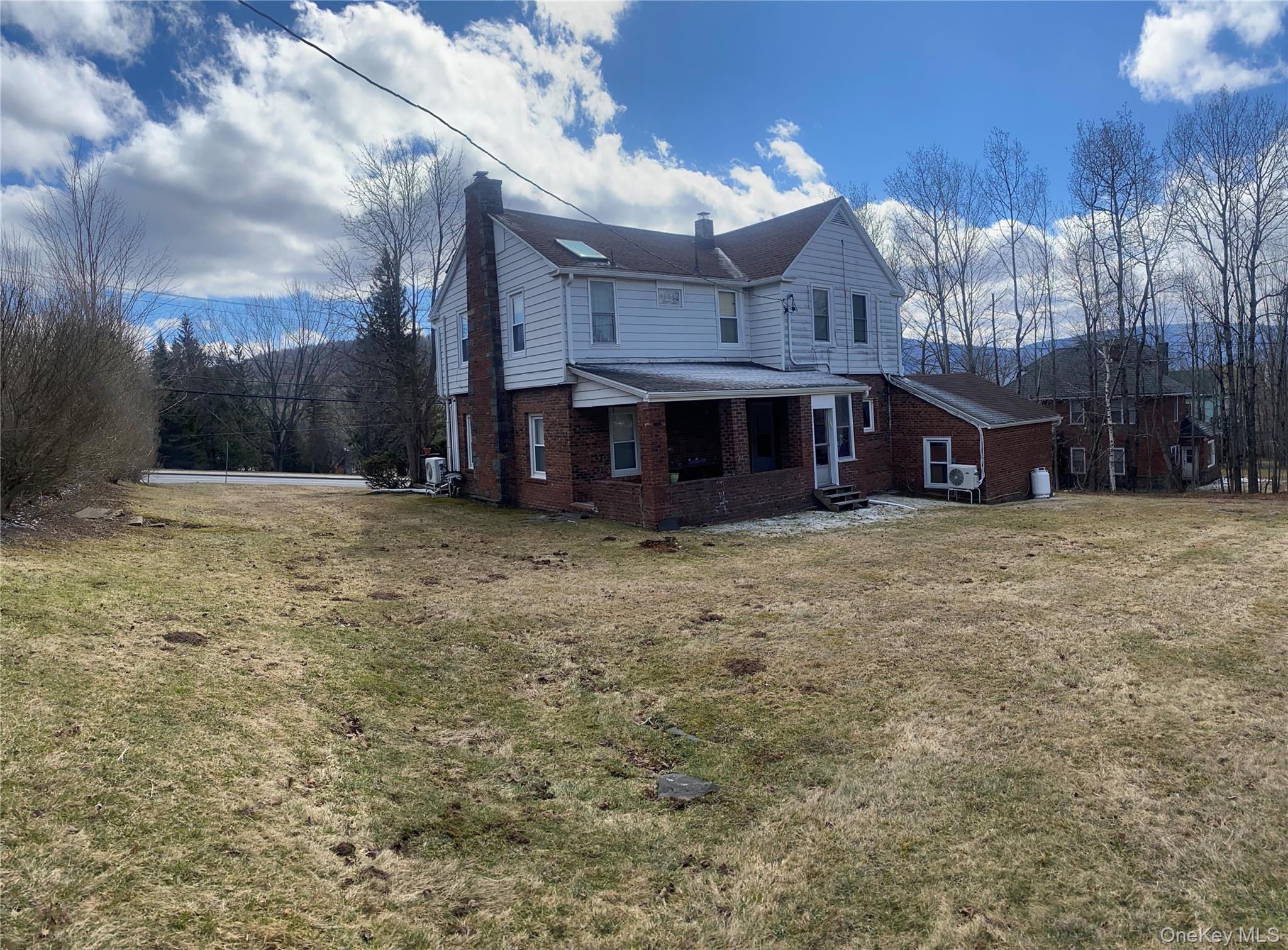 Single Family Main  Greene County, NY 12485, MLS-983490-4