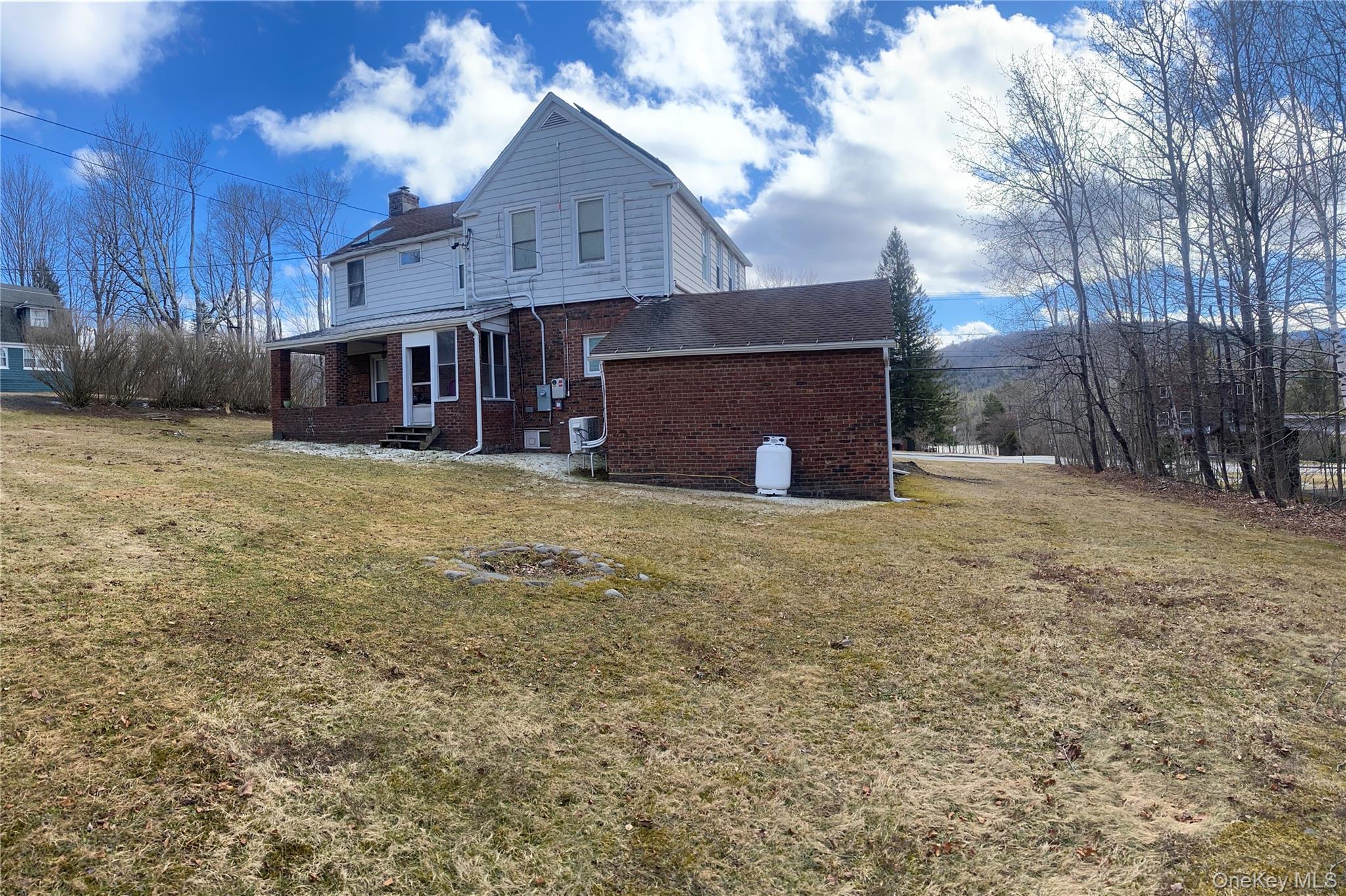 Single Family Main  Greene County, NY 12485, MLS-983490-5