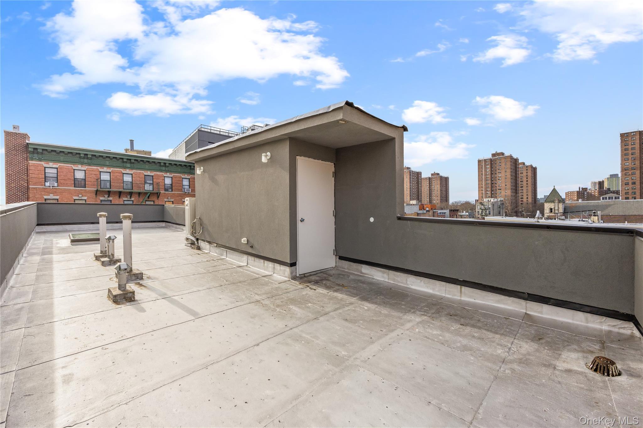 Single Family 143rd  Bronx, NY 10454, MLS-983517-41