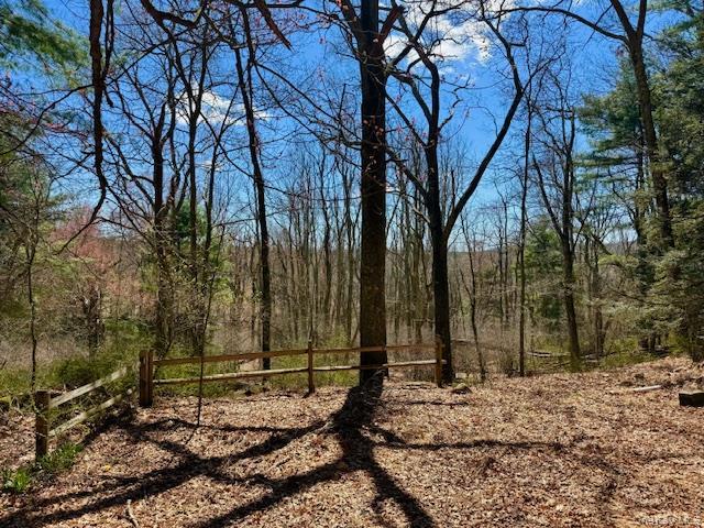 Single Family Hollow  Sullivan County, NY 12737, MLS-983599-12