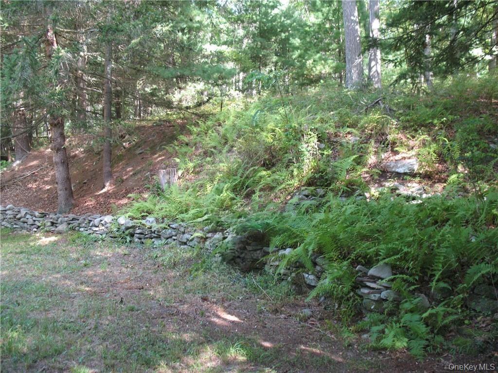 Single Family Hollow  Sullivan County, NY 12737, MLS-983599-14